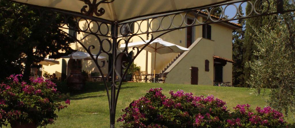 Agriturismo San Francesco Amalia And Anna Orciatico Exterior photo